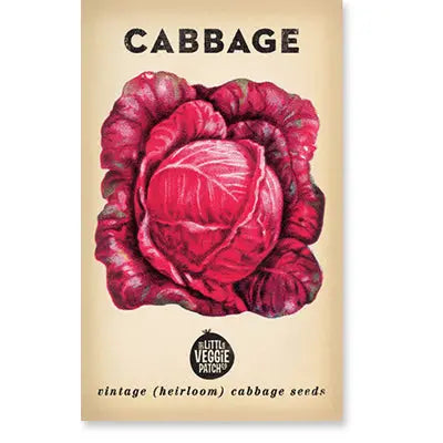 Cabbage 'savoy Purple' Heirloom Seeds