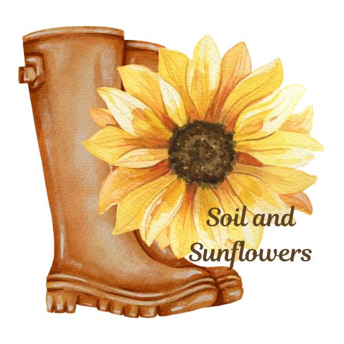 Soil and Sunflowers
